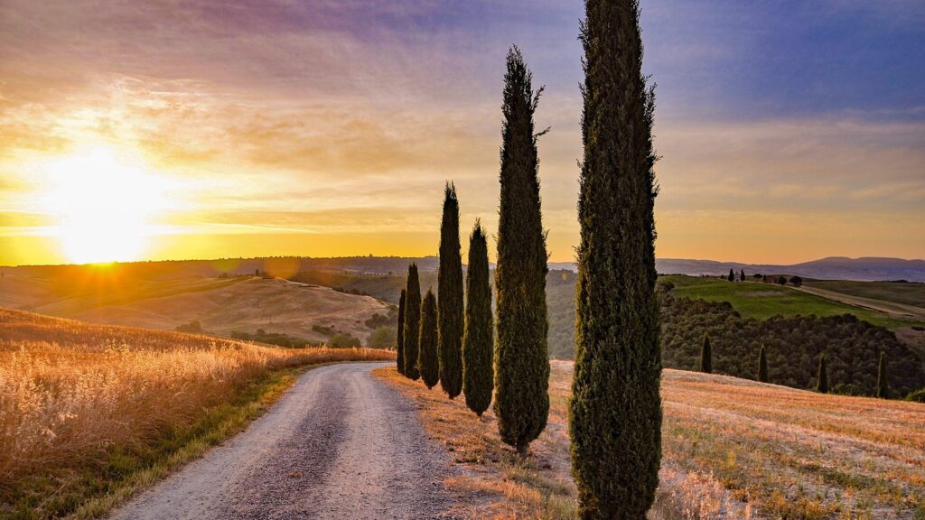 Strada bianca tra i cipressi della Val d'Orcia all'alba, simbolo di un nuovo inizio
